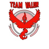 Team Valor Logo